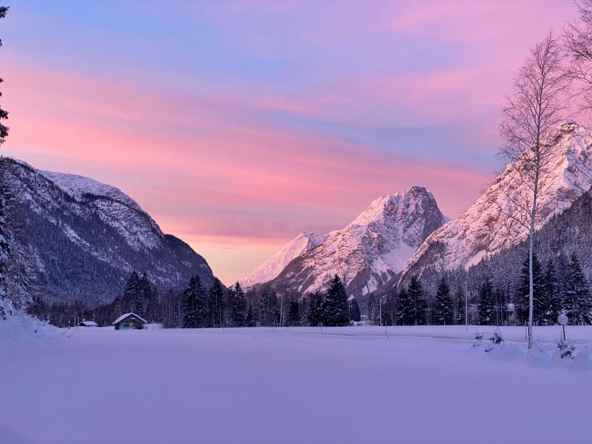 Baerenwirt Διαμέρισμα Mittenwald Εξωτερικό φωτογραφία